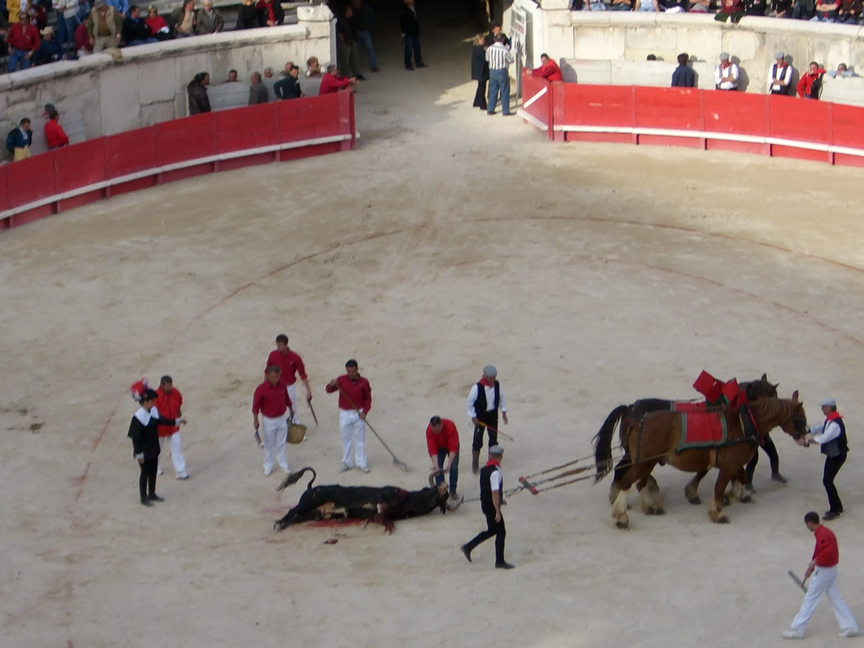 2006 Jun - Bullfights at Arène de Nîmes - Nîmes